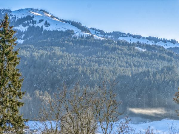 View from Holiday Home [winter]