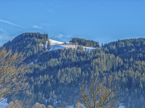 View from Holiday Home [winter]