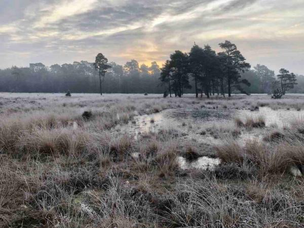 Directe omgeving [zomer] (<1 km)