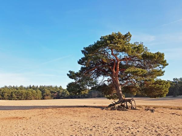 Omgeving [zomer] (1-5 km)