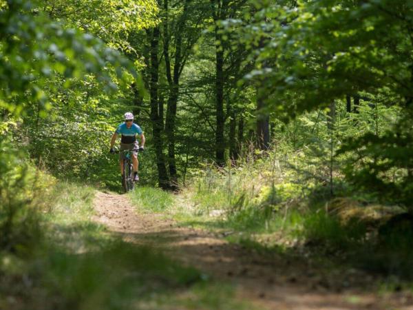 Directe omgeving [zomer] (<1 km)