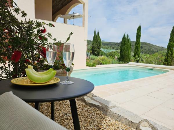 Schwimmbad des Ferienhauses
