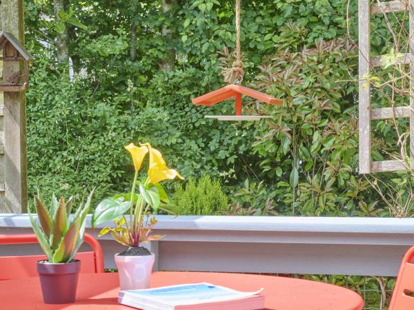 Tuin [zomer]