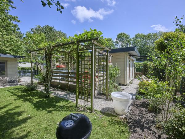 Tuin [zomer]
