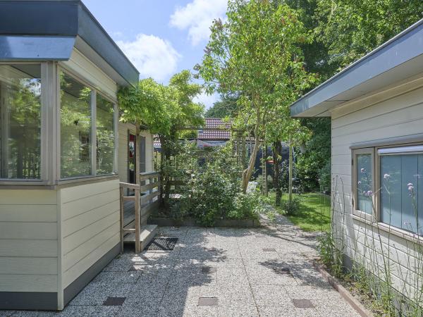 Tuin [zomer]