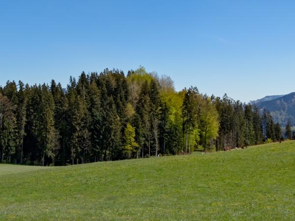 Vue de la maison de vacances [été]