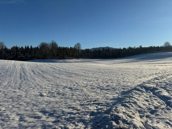 Vue de la maison de vacances [hiver]