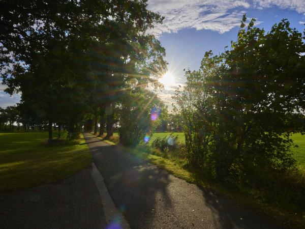 Omgeving [zomer] (1-5 km)