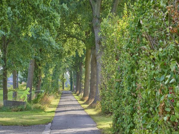Omgeving [zomer] (1-5 km)