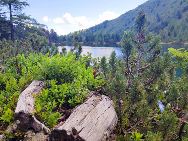 Umgebung [Sommer] (1-5 km)