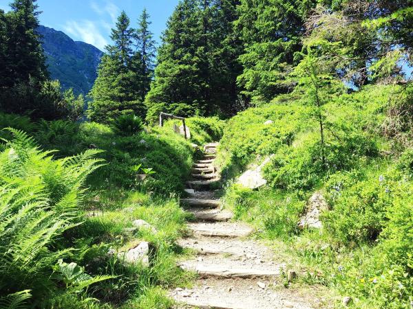 Umgebung [Sommer] (1-5 km)
