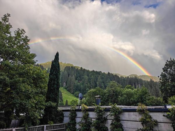 Aussicht vom Ferienhaus [Sommer]