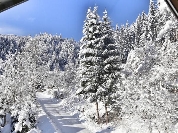 View from Holiday Home [winter]