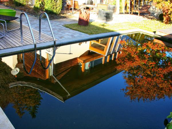 Holiday Home Swimming Pool