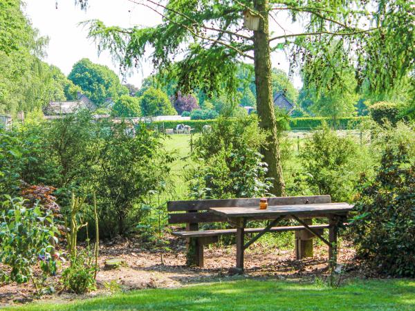Tuin [zomer]