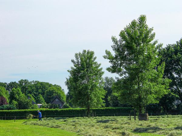 Directe omgeving [zomer] (<1 km)