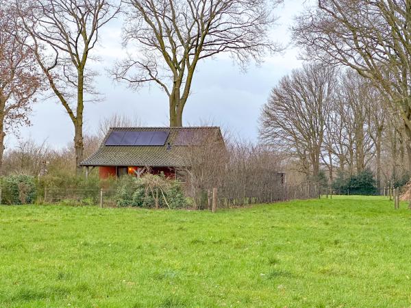 Directe omgeving [zomer] (<1 km)