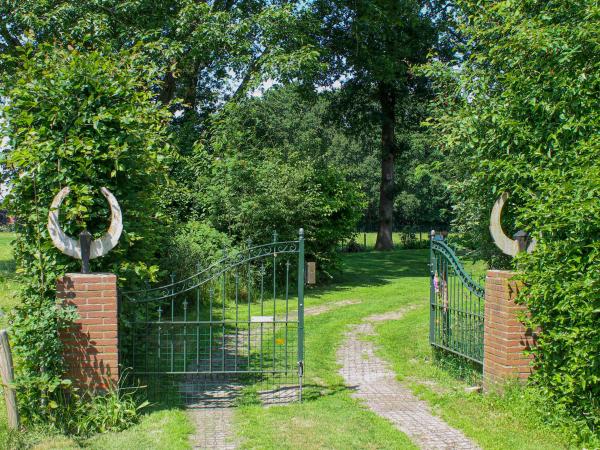 Tuin [zomer]