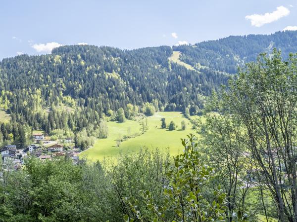 Ansicht