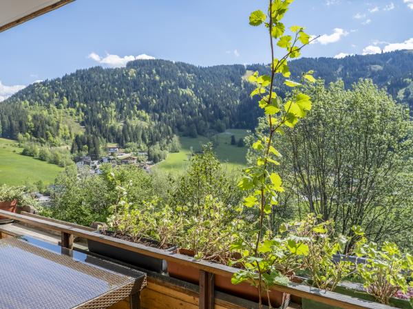 Aussicht vom Ferienhaus [Sommer]