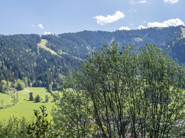 Ansicht