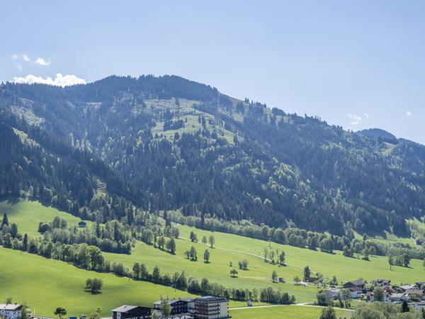 Ansicht