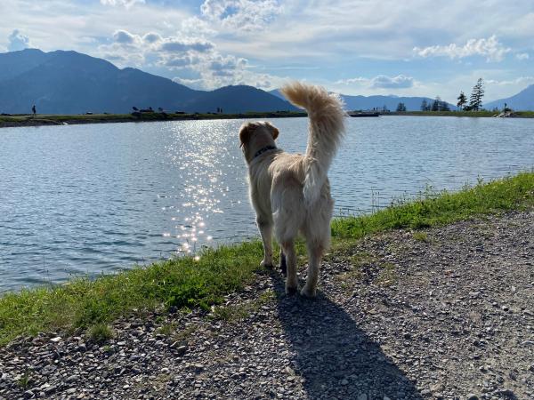 Omgeving [zomer] (1-5 km)