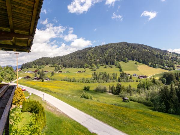Aussicht vom Ferienhaus [Sommer]