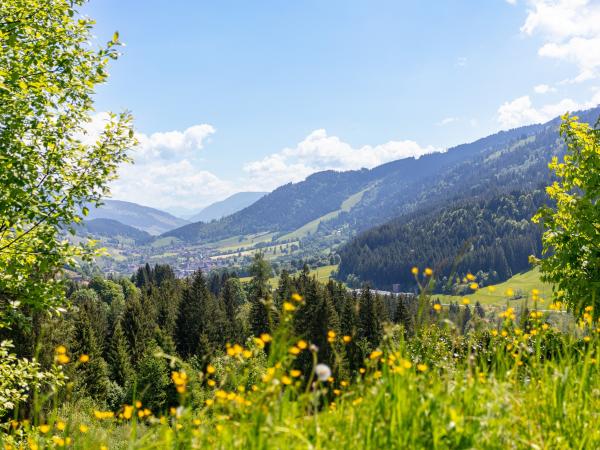 Aussicht vom Ferienhaus [Sommer]