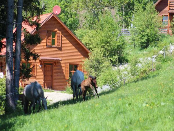 Aussicht vom Ferienhaus [Sommer]