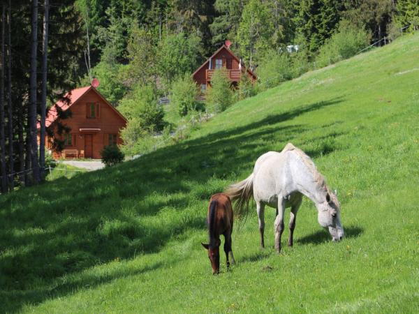 Aussicht vom Ferienhaus [Sommer]