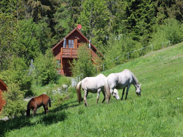 Direkte Umgebung [Sommer] (<1 km)