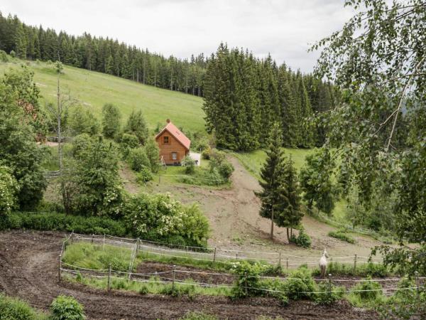 Direkte Umgebung [Sommer] (<1 km)