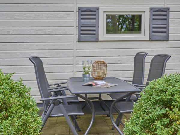 Tuin [zomer]