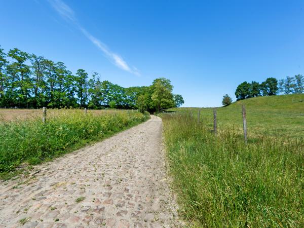 Directe omgeving [zomer] (<1 km)