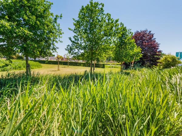 Directe omgeving [zomer] (<1 km)