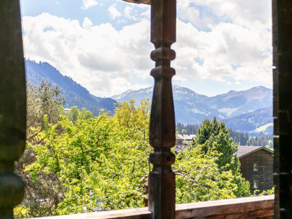 Aussicht vom Ferienhaus [Sommer]