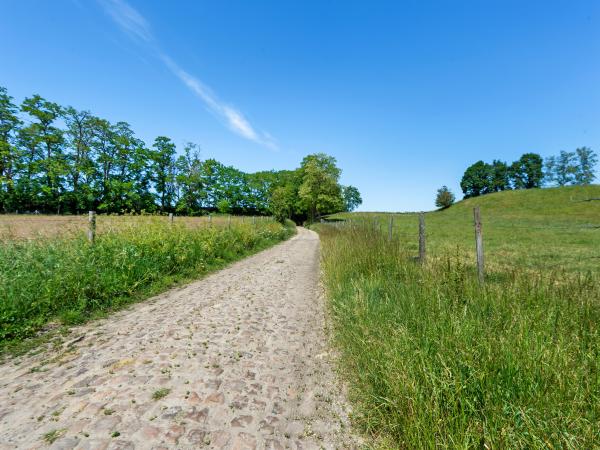 A proximité directe [été] (<1 km)