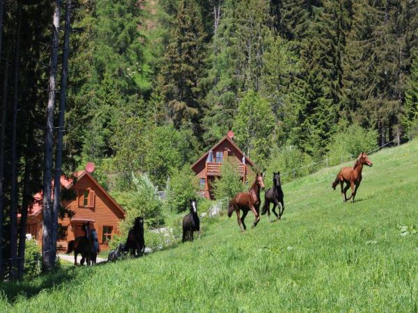 Direkte Umgebung [Sommer] (<1 km)