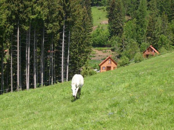 Direkte Umgebung [Sommer] (<1 km)