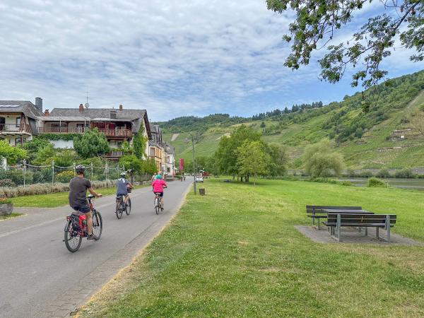 Directe omgeving [zomer] (<1 km)