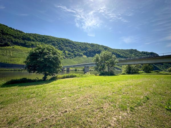 Directe omgeving [zomer] (<1 km)