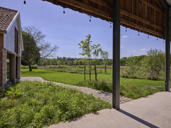 Jardin [été]