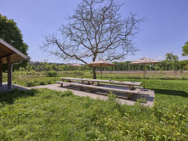 Jardin [été]