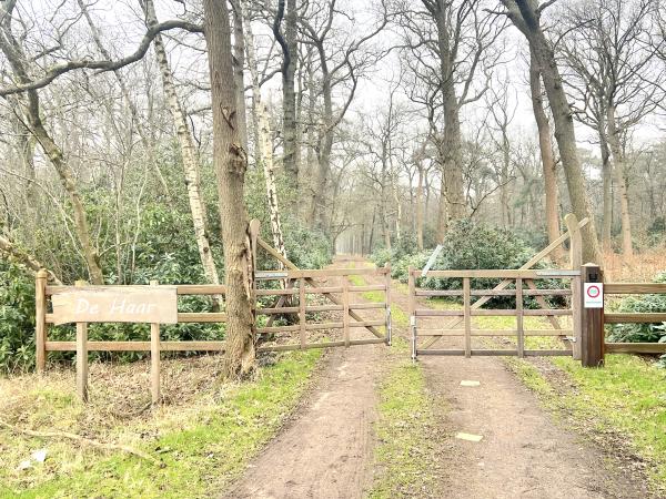 A proximité directe [été] (<1 km)