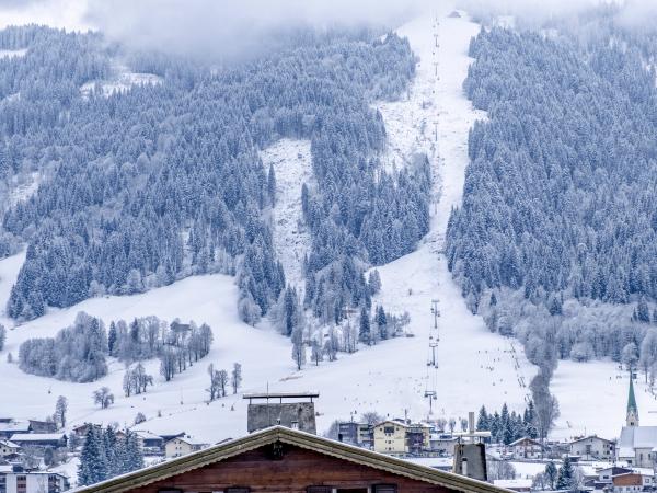 Aussicht vom Ferienhaus [Winter]