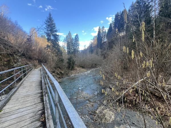 Dans les environs [été] (1-5 km)