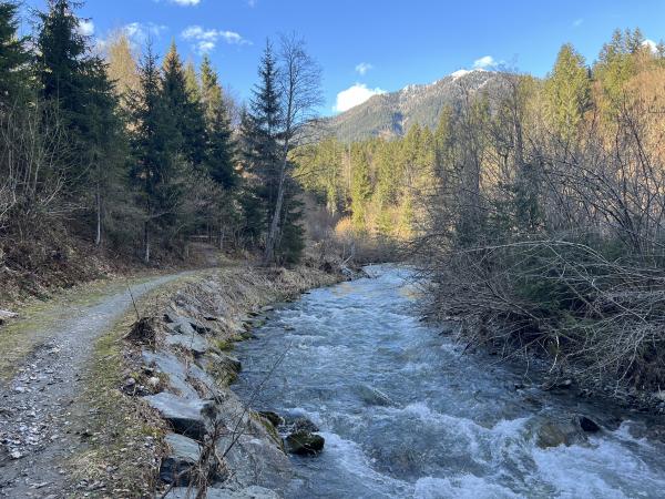 Dans les environs [été] (1-5 km)