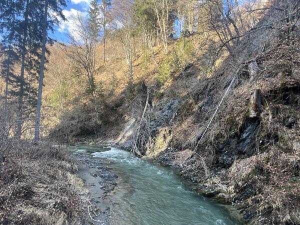 Dans les environs [été] (1-5 km)