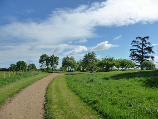 Direkte Umgebung [Sommer] (<1 km)